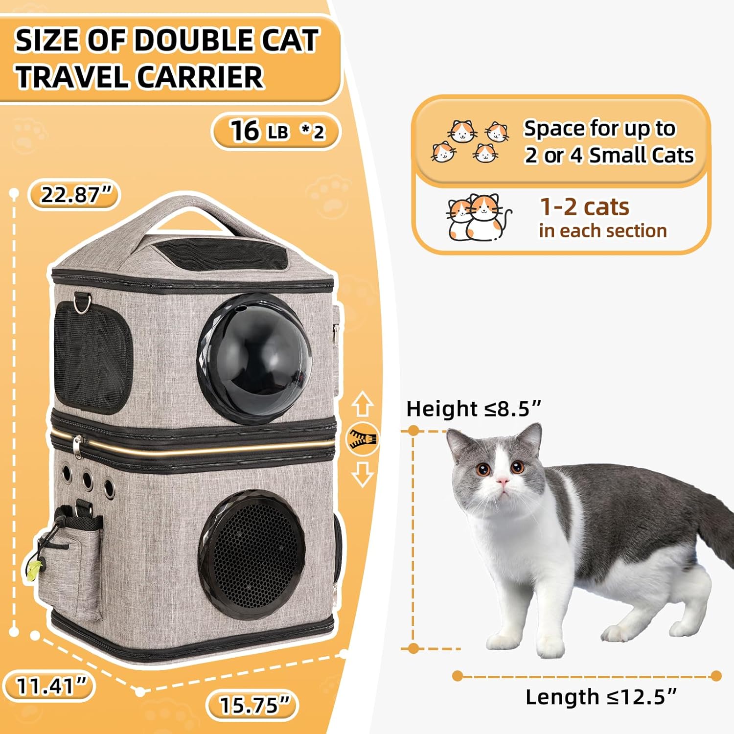 Travel in Style: The Ultimate Detachable Double Cat Backpack Carrier Review