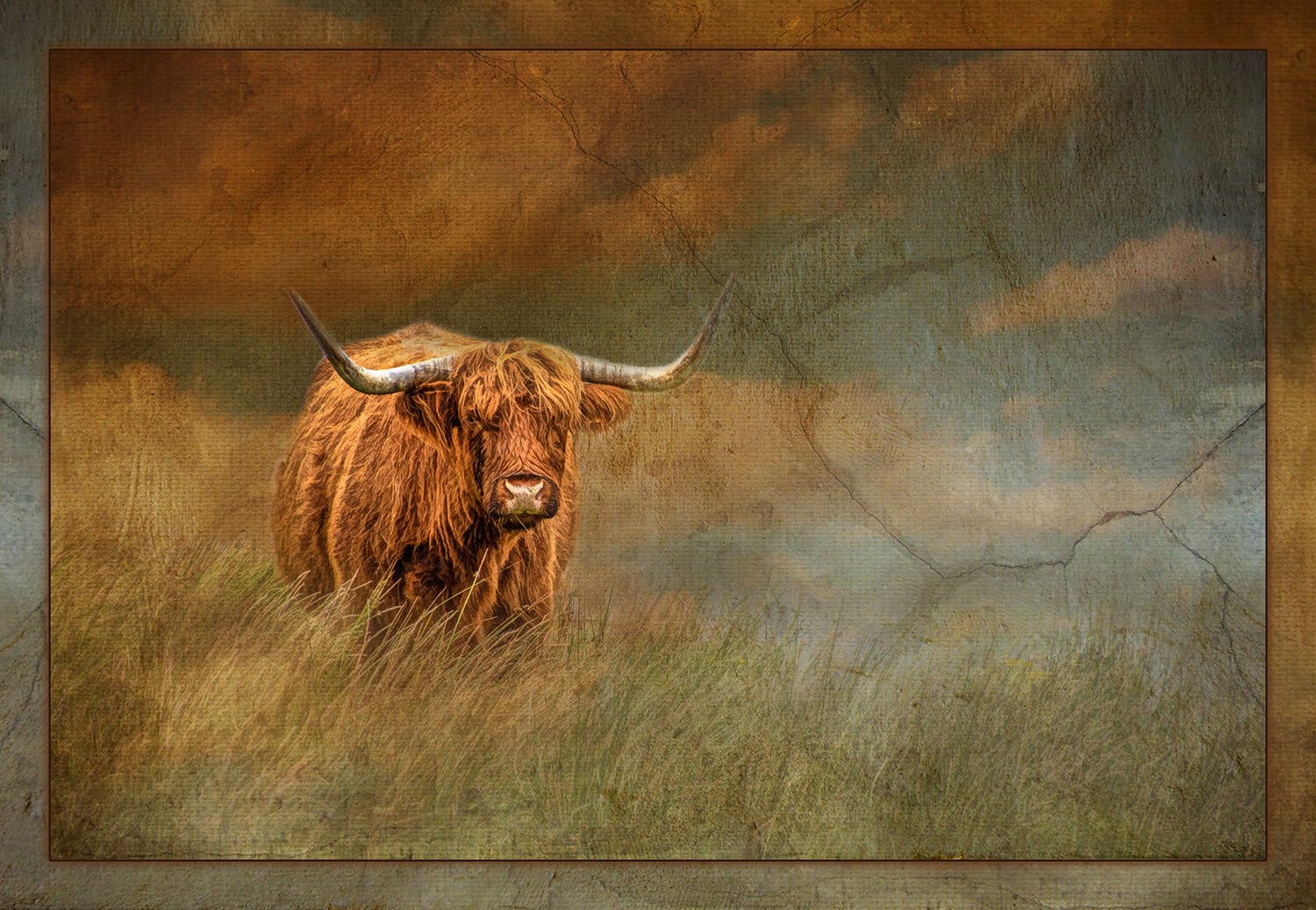 Highland Cow Fabric Panel, ACW-005, Panel Size is 26” X 18”, Quality Quilting Cotton