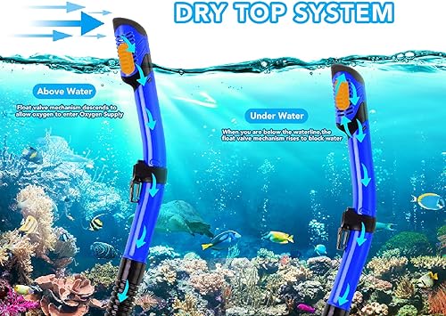 Miniatura 3 de Equipo de esnórquel para adultos con aletas, equipo de buceo para adultos, juegos de esnórquel de viaje profesional con aletas, máscara de buceo