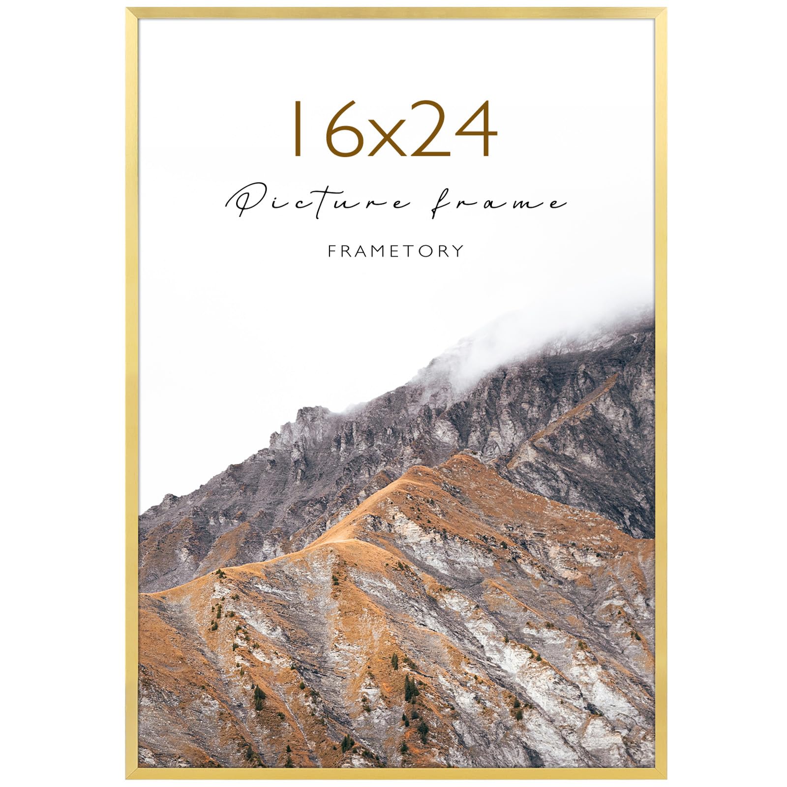 Frametory 16x24 Gold Aluminum Picture Frame