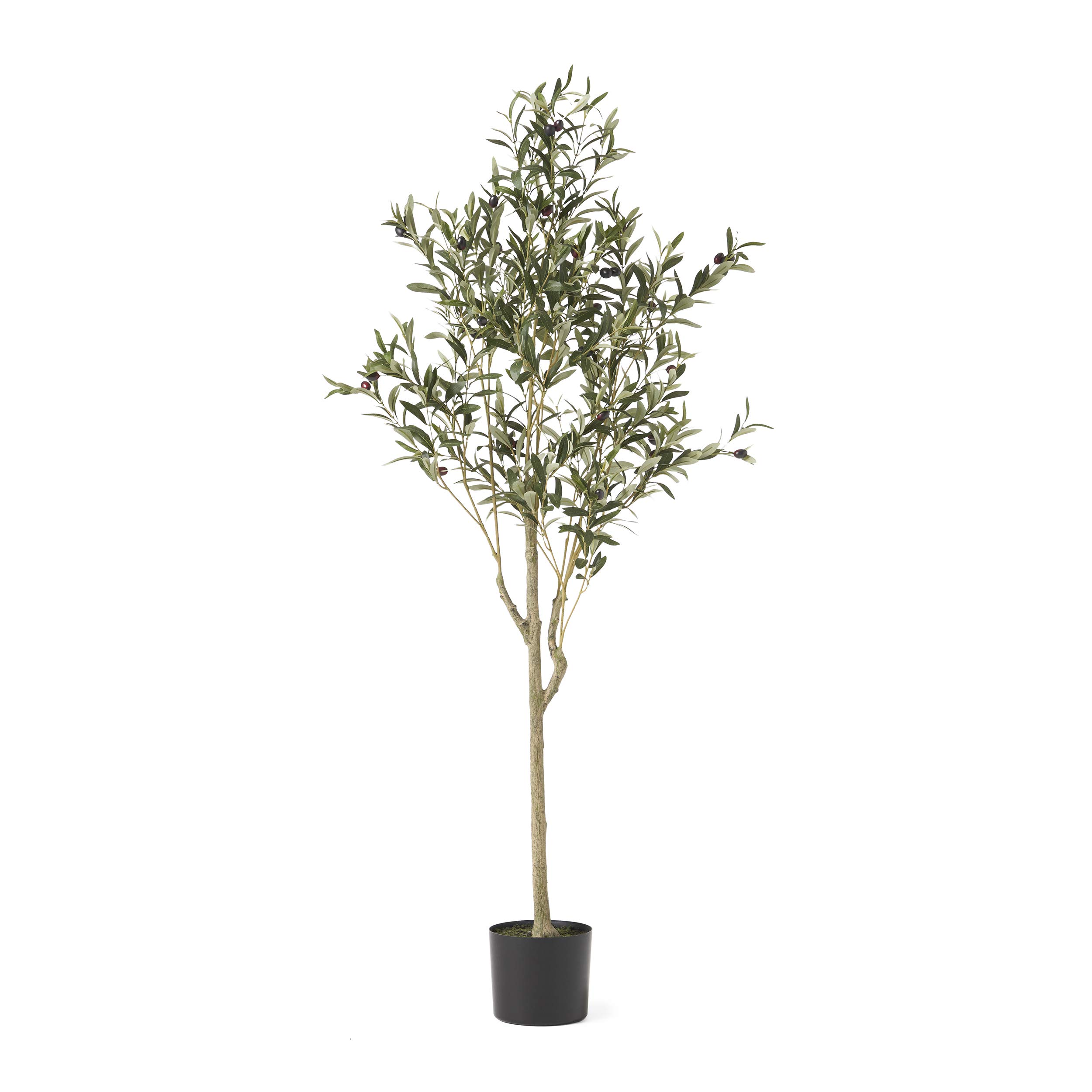 Christopher Knight Home Regina Artificial Olive Tree, 5' x 2', Green + Black
