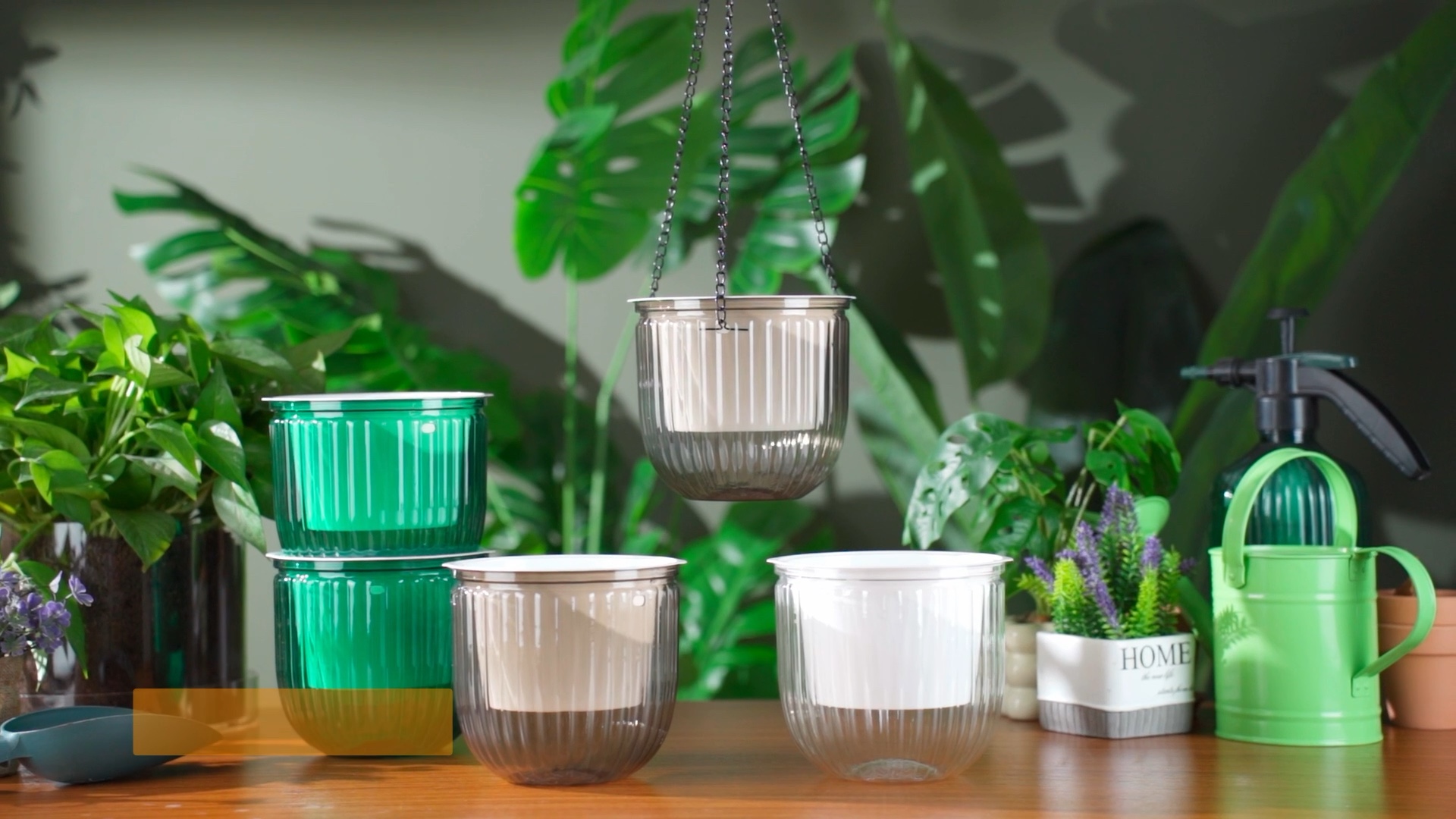 Hanging Plants ZeeDix 3 Pack Self Watering Hanging Planters - 6.5 Inch ...