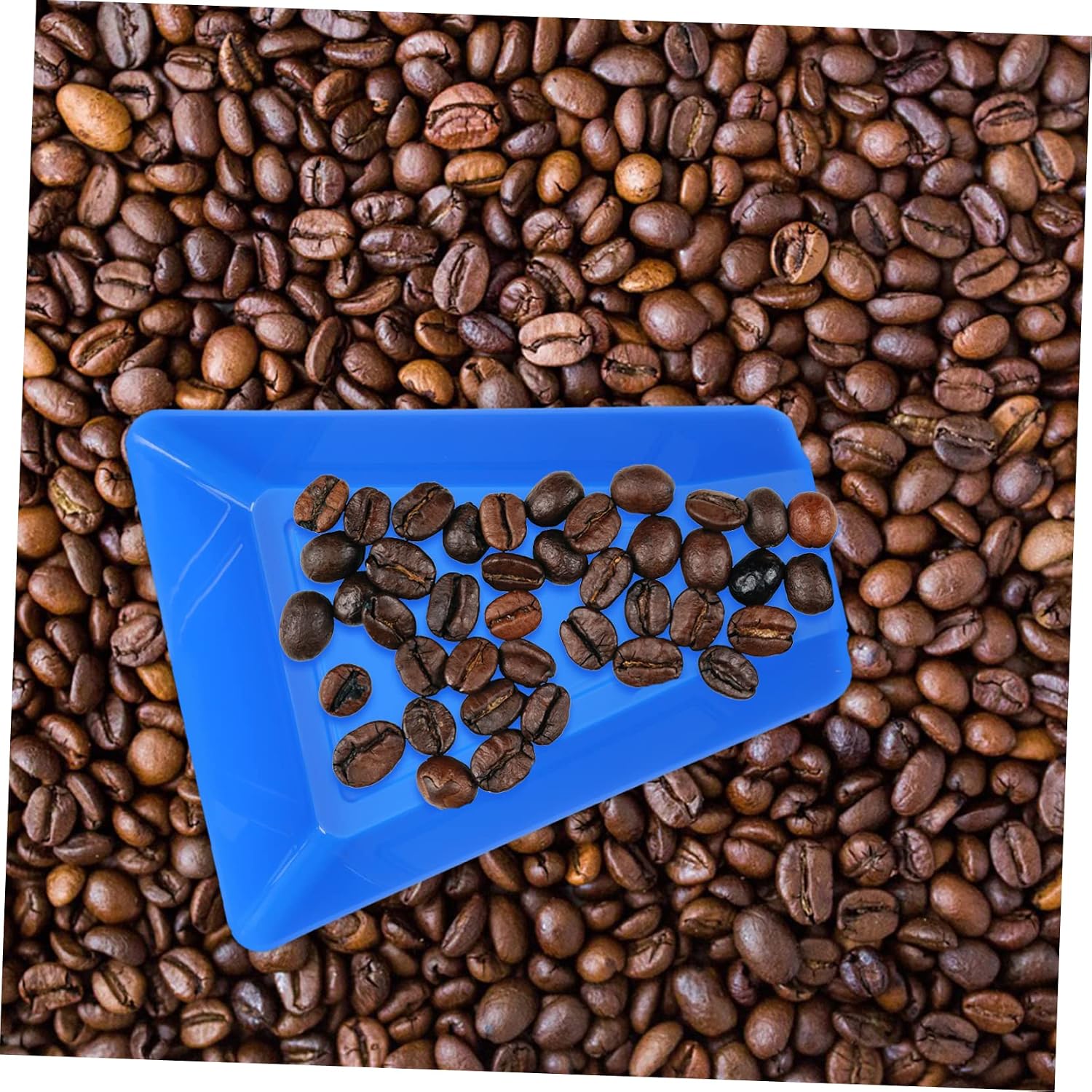 Amosfun 2pcs Coffee Bean Measuring Tray Set Food-Grade Plastic Bean Display Plate for Home and Cafe Use for Sample Serving and Storage