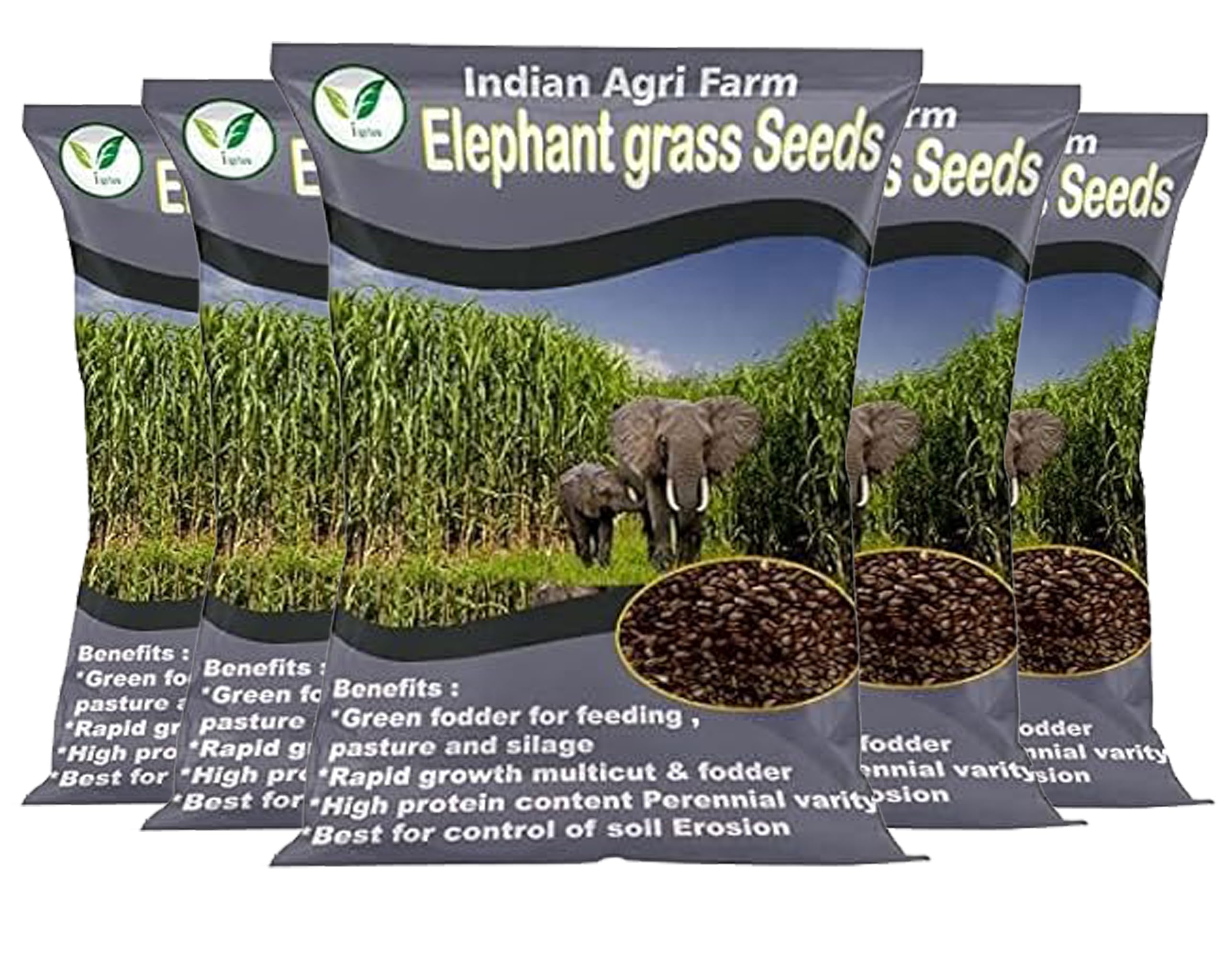 Elephant Grass Seed - 5 Kg/Pennisetum purpureum/Napier grass seed/Multicut Grass Seed/for Goat,Cow,Livestock and Cattle