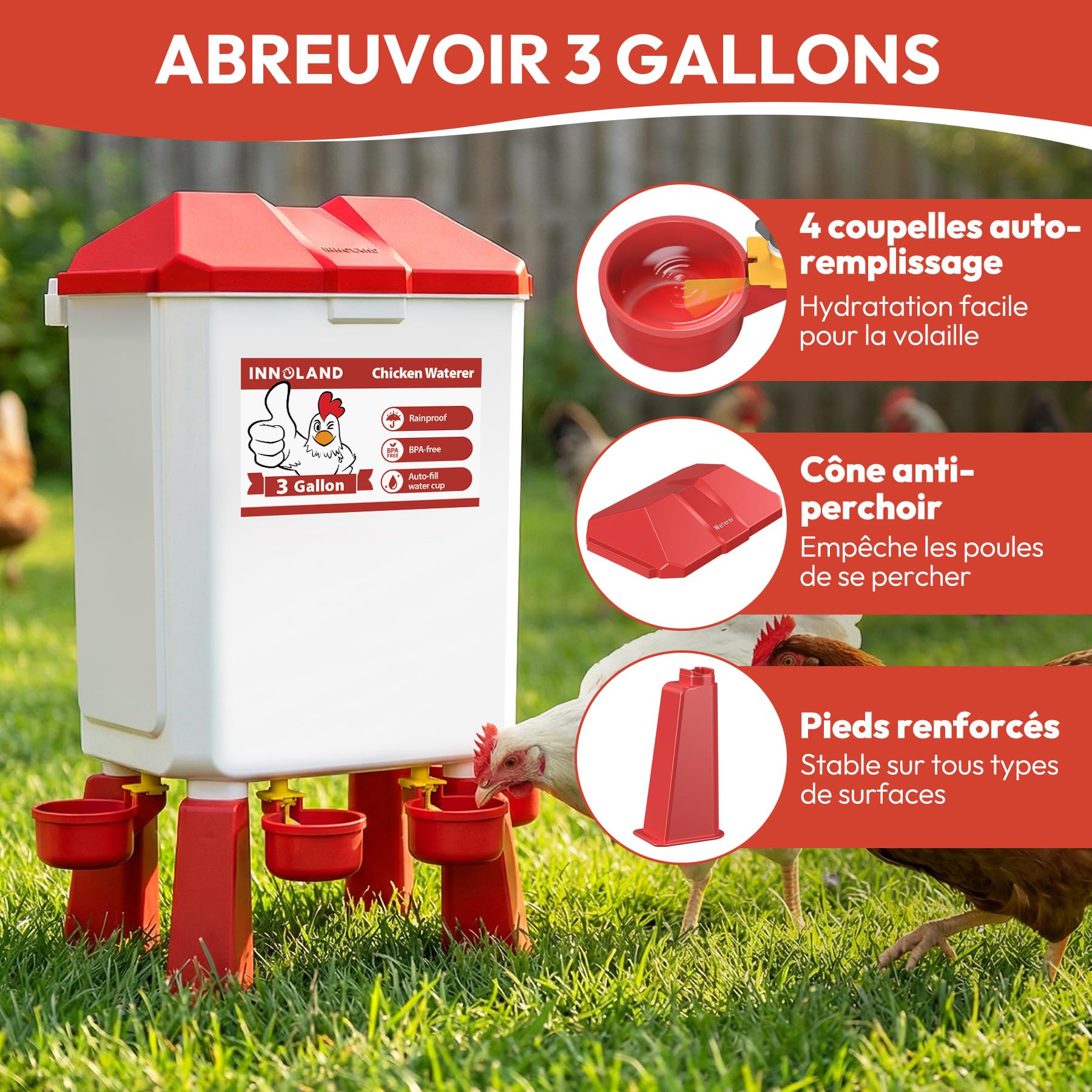 Mangeoire Poules et Abreuvoir Poules Automatique – 12 Kg / 11 L, Mangeoire Poule Anti Nuisible 4 Coupelles & 3 Ports d’Alimentation, Distributeur de Nourriture Anti-Gaspillage