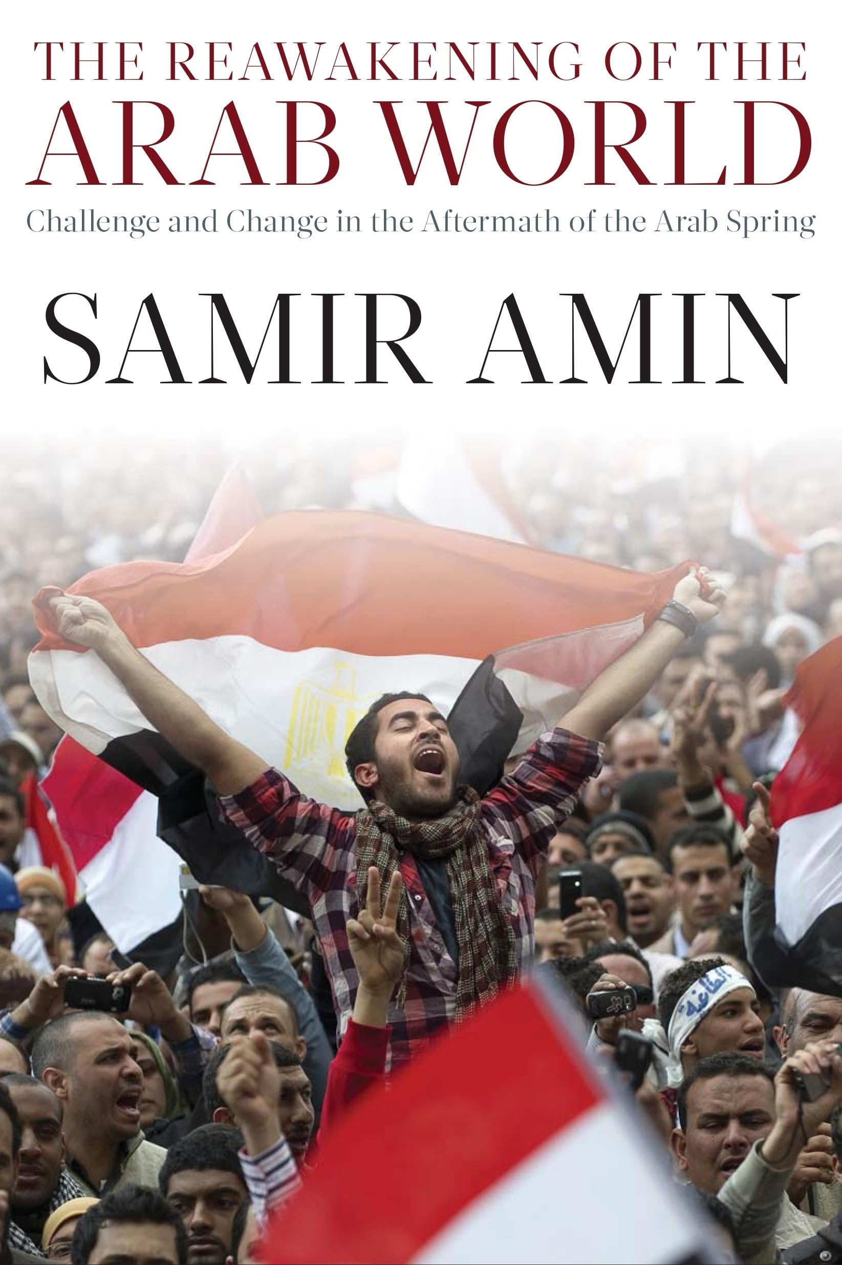 Buy The Reawakening of the Arab World — BookShops.in
