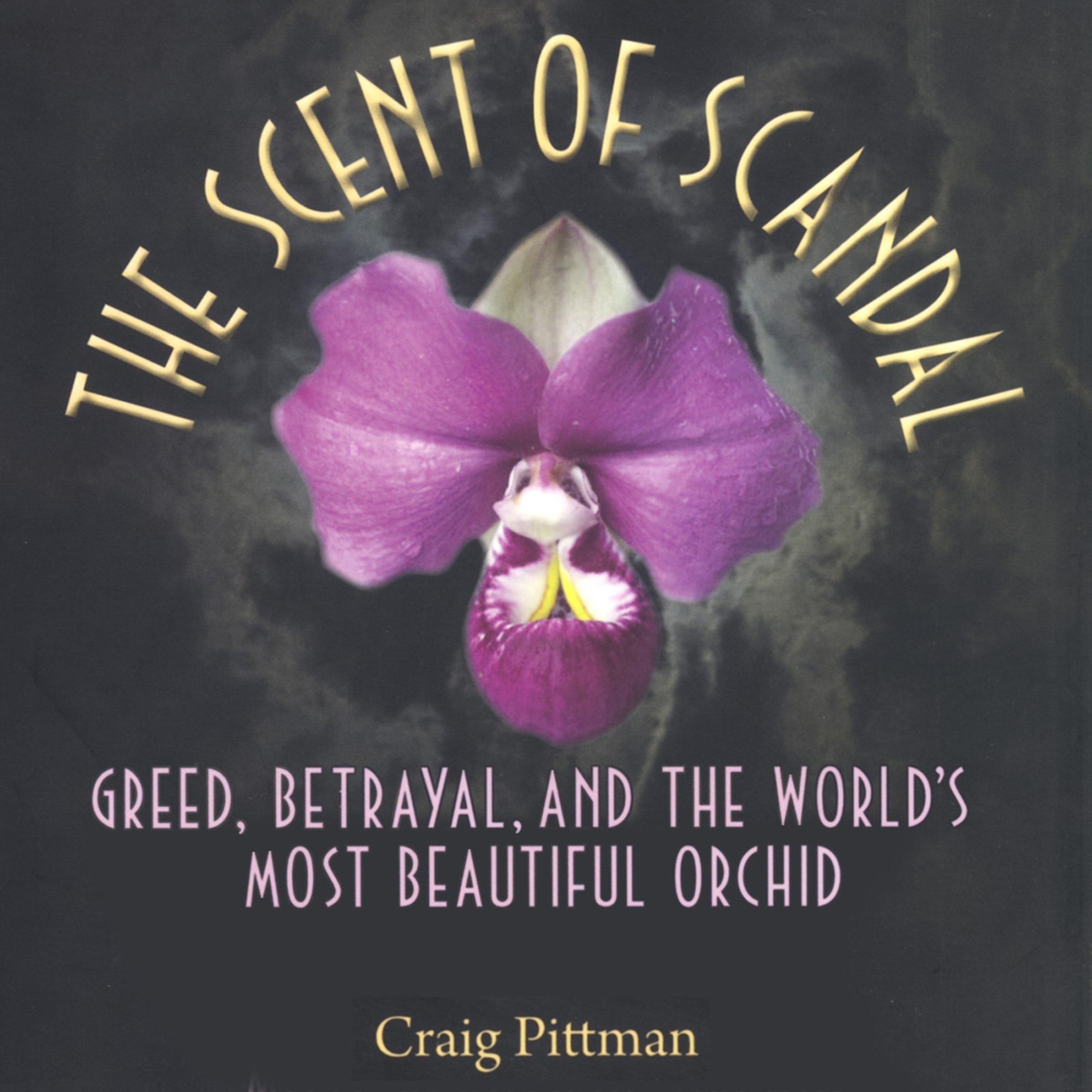 The Scent of Scandal