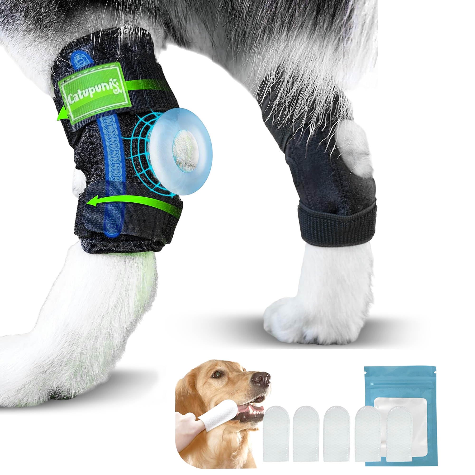 2PCS Dog Braces for Back Leg for Support. Dog Arthritis Brace. Hind Leg Support for Dogs. Leg Brace for Dogs Back Leg. Dog Leg Brace. Dog Back Leg Support Brace. Dog Hock Brace Rear Leg (L)