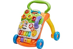 Introducing the VTech Sit-to-Stand Learning Walker: A Journey of Learning and Discovery