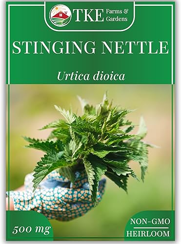 TKE Farms - Semillas de ortiga picante para plantar, Urtica dioica, 500 mg  2000 semillas