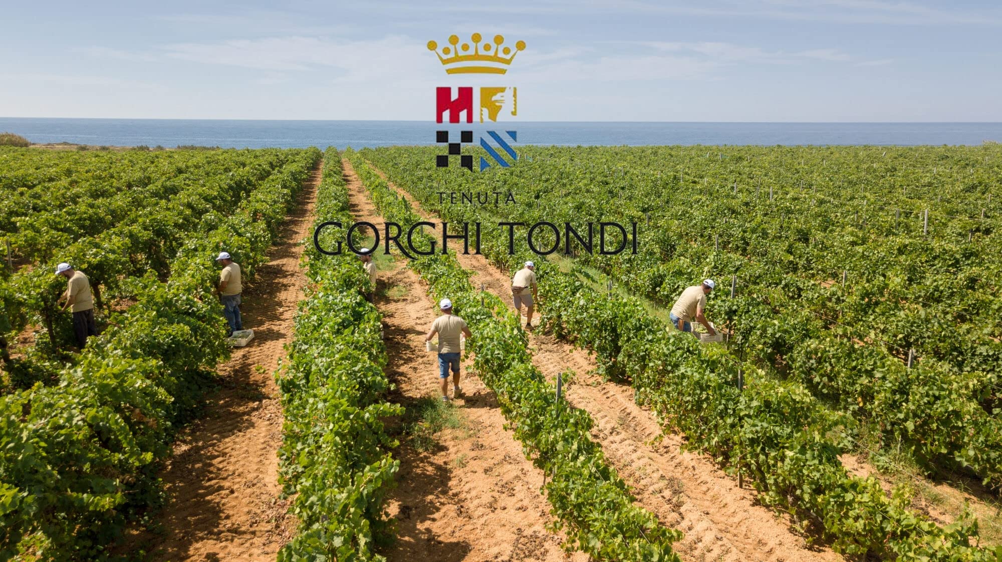 Sicilia Bedda - VINI GORGHI TONDI con Apribottiglia Sicilia Bedda - Vini Pregiati - 100% Siciliani (BABBIO ROSATO FRIZZANTE IGP - 6 BOTTIGLIE)