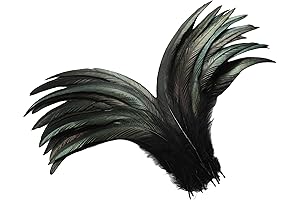 Holmgren Rooster Tail Feathers: Embellish Crafts with Natural Elegance