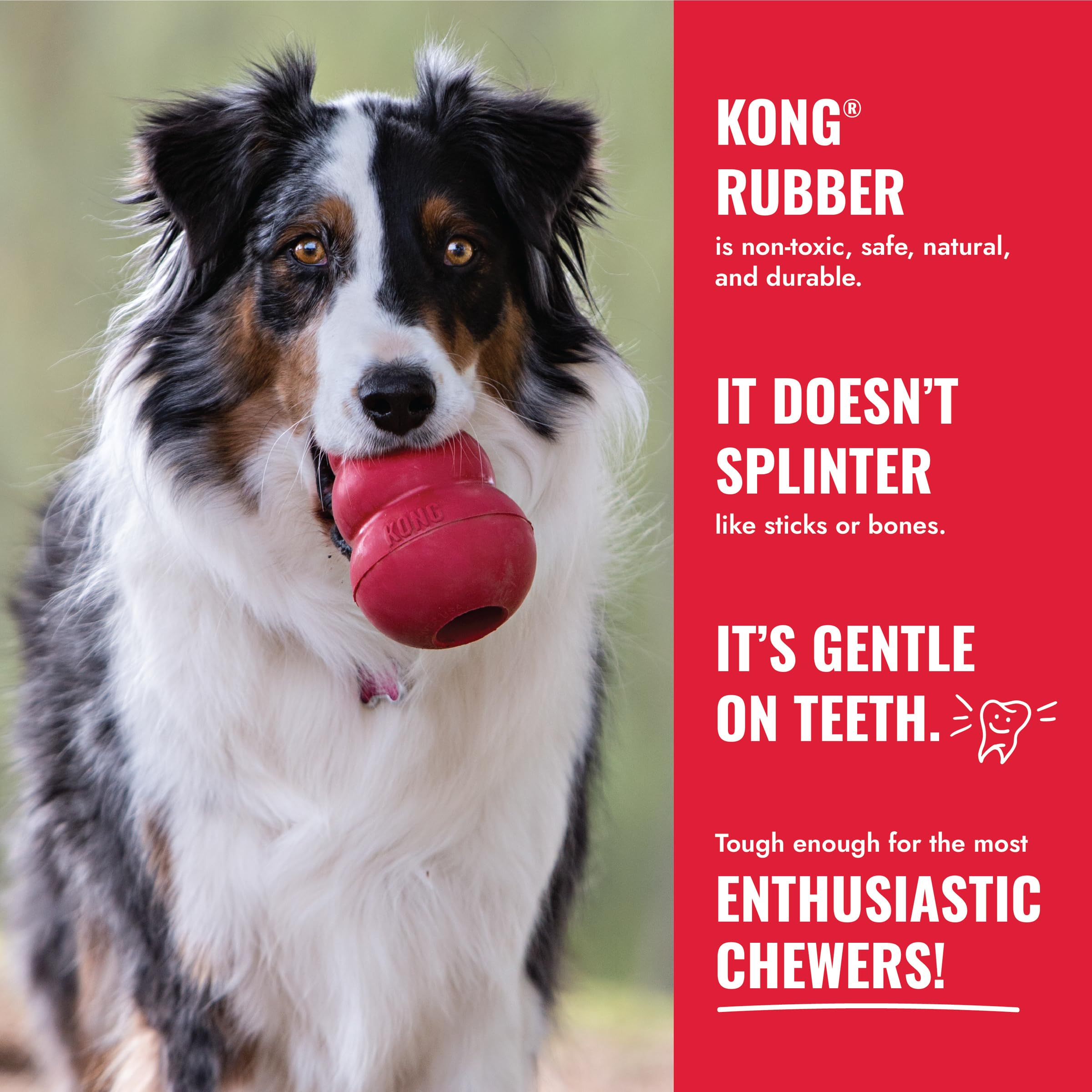 KONG Flyer- Lot de 2 disques Volants en Caoutchouc Durable pour Petits Chiens