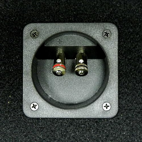 Miniatura 3 de Bass Rockers Caja de caja de altavoz de 2x2 de 10"/4" con terminal de resorte (acabado de alfombra)
