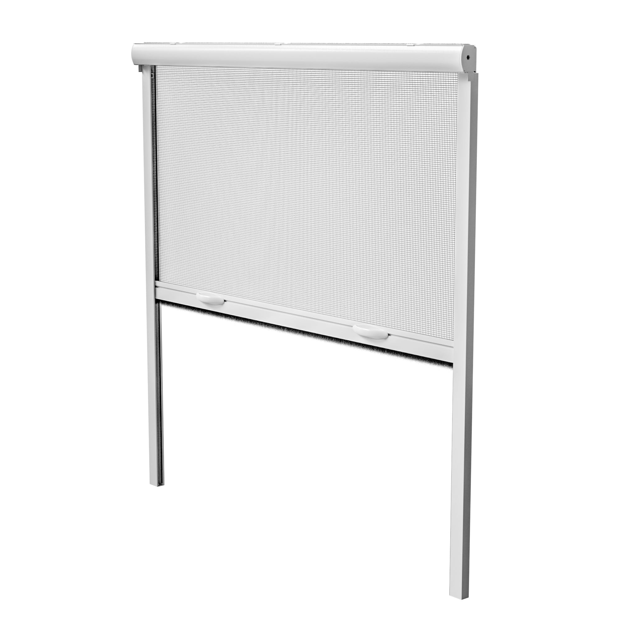 Moustiquaire enroulable pour fenêtres Amig en alu blanc 140x140 cm