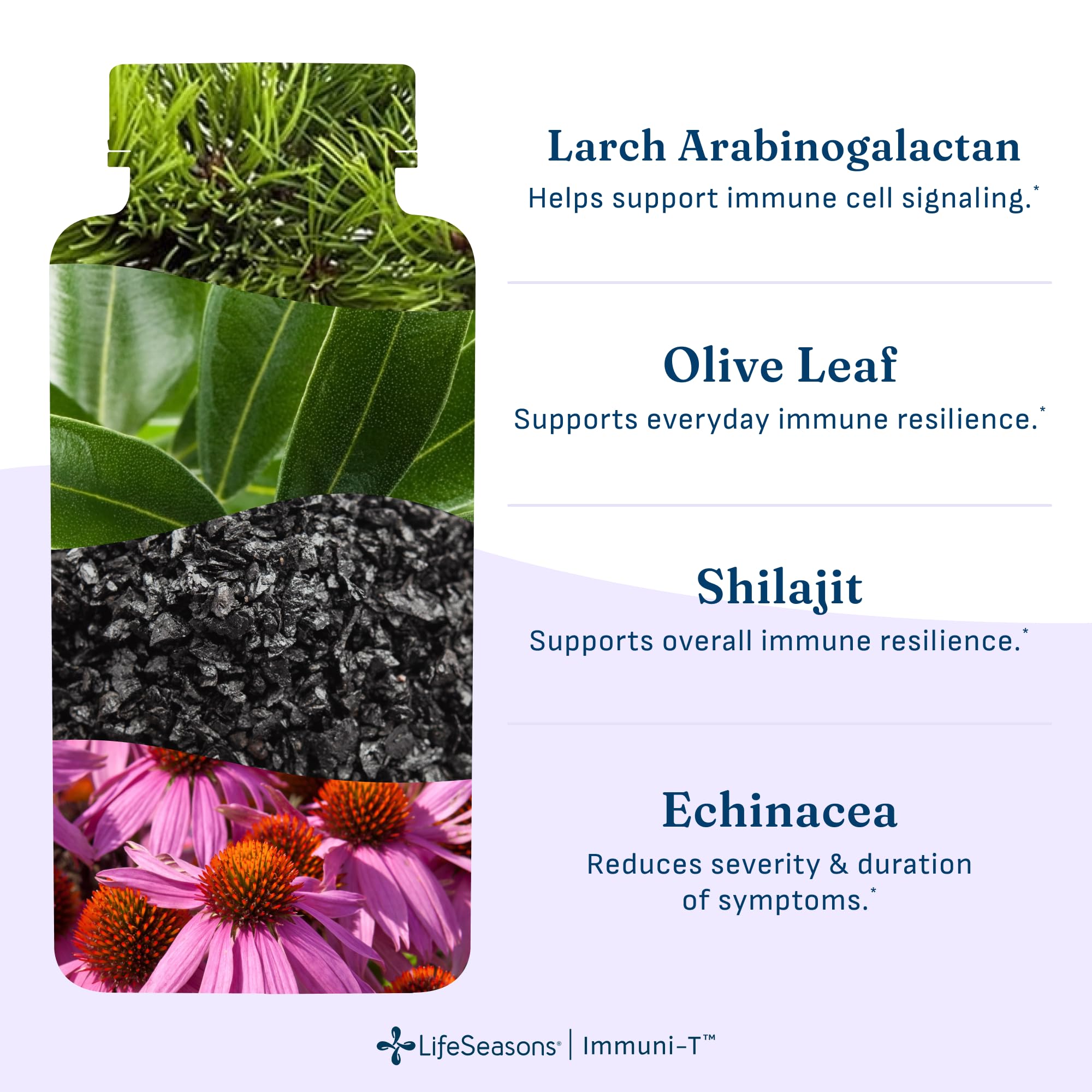 LifeSeasons Immuni-T - Immune Support Supplement - Immunity System Booster - Natural Cold & Flu Relief - Elderberry, Echinacea, Andrographis, Arabinogalactans & Olive Leaf - 90 Capsules — Amazon image 4