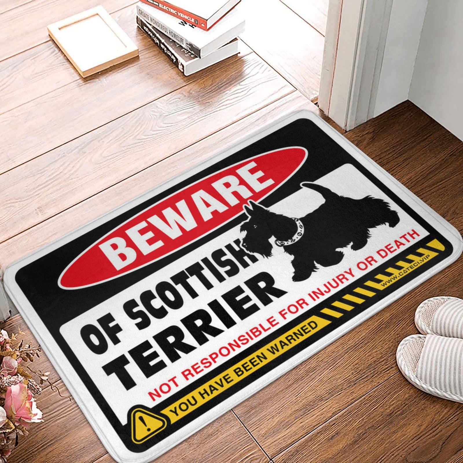 Tapis de porte d'entrée extérieure contre saleté et poussière