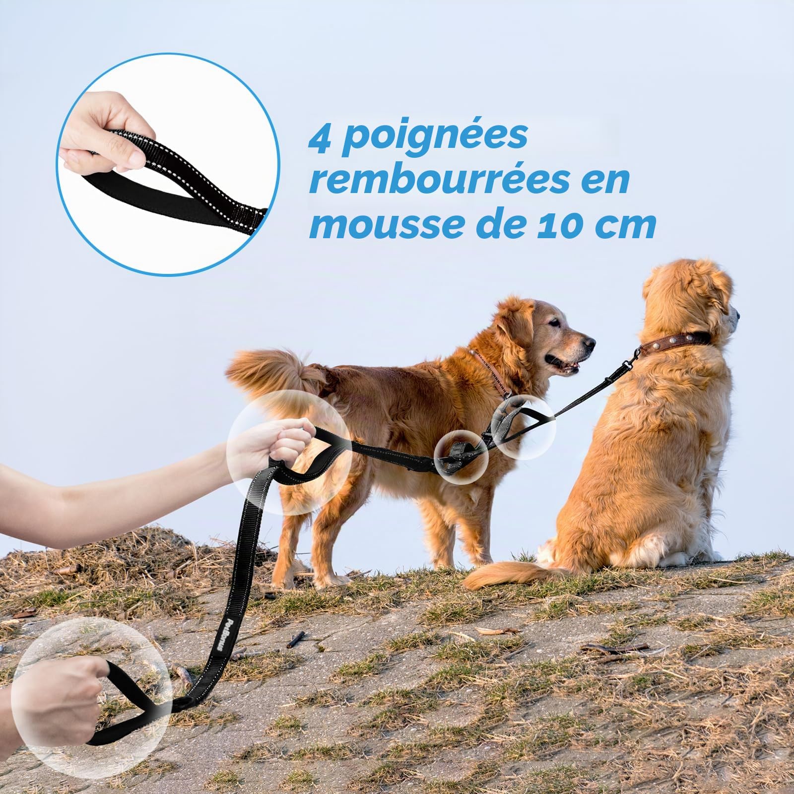 PetBonus Laisse Double pour Chien, Double Laisse Anti-Enchevêtrement Réfléchissante, avec 4 Poignées Rembourrées Confortables pour Chiens de Taille Moyenne ou Grande (Noir)