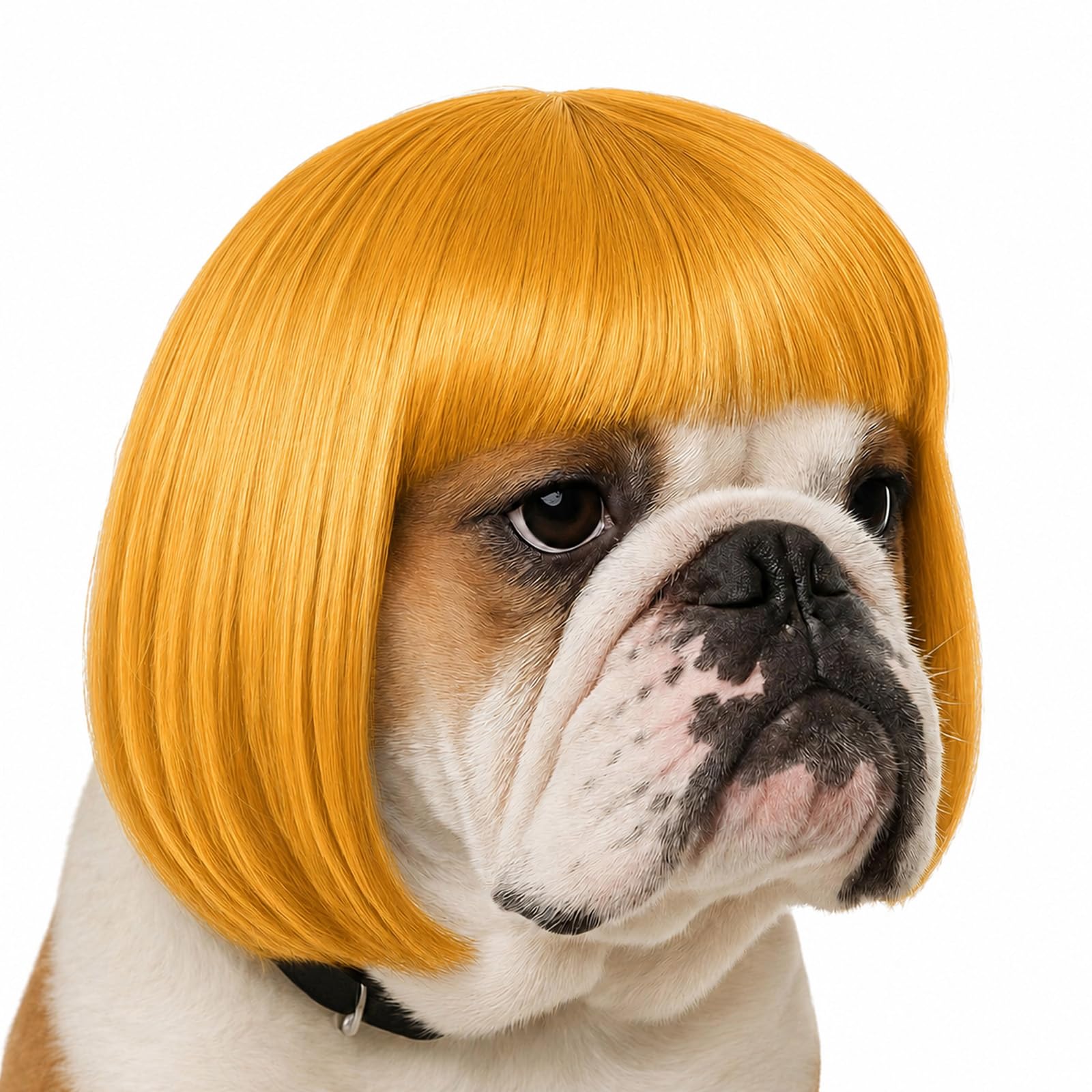 Funny Dog Wig for Small Medium Large Dogs Golden 7 Inch