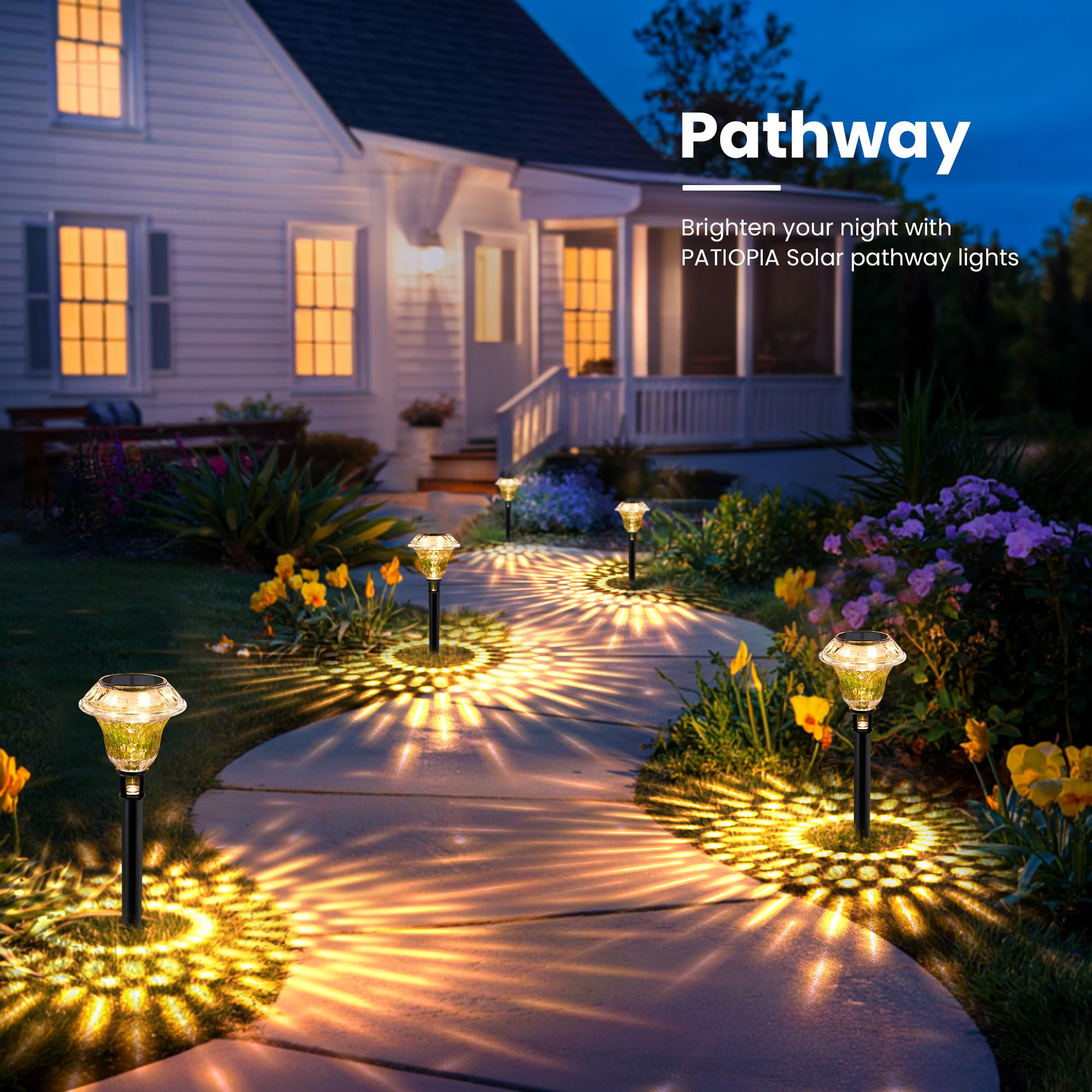 View 7