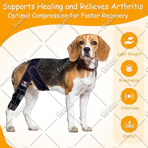 Miniatura 9 de Dog Knee Brace for Torn ACL Hind Leg - Adjustable Dog Leg Brace for Back Leg and Front Leg Support, Knee Brace for Dogs, Promotes Stability and