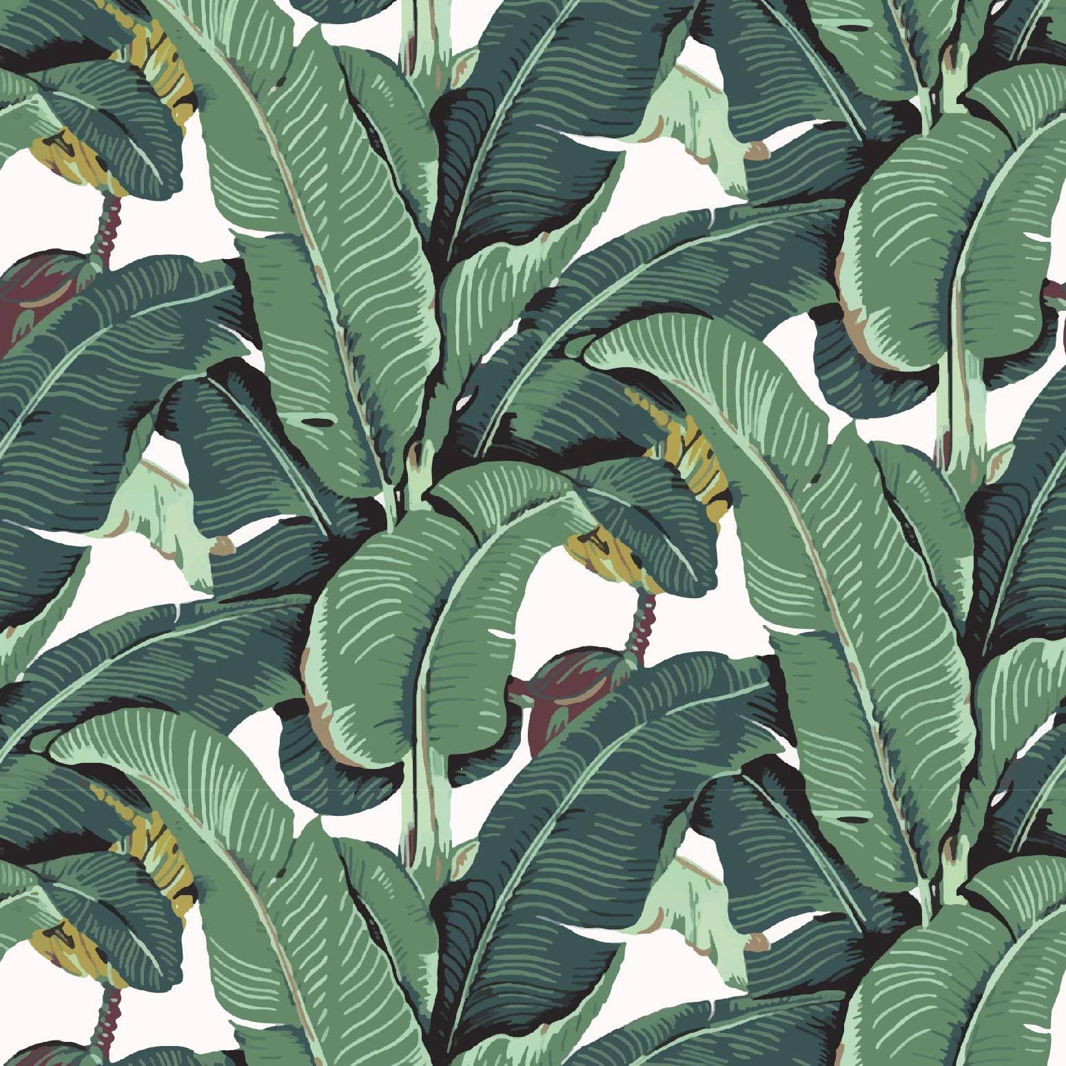 Yumeihoe Tropical Palm Leaf Peel and Stick Wallpaper Green Banana Leaves