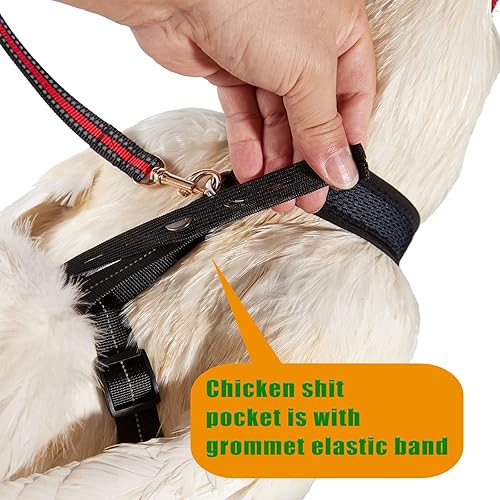 Miniatura 4 de Yesito Arnés de pollo tamaño gallina con correa a juego de 6 pies, cómodo, transpirable y lavable para mascotas, para pollos, gansos, patos y más,