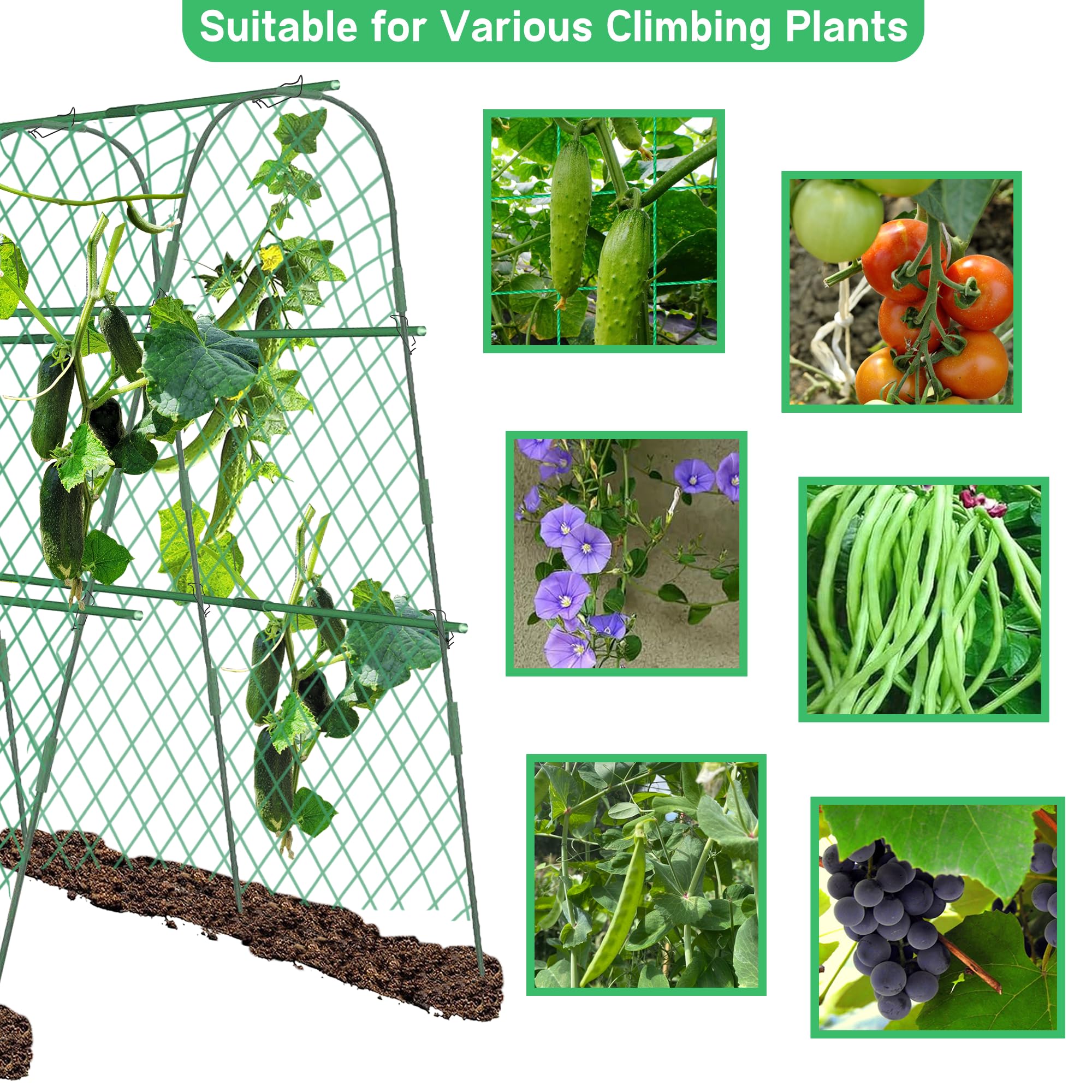 Griglia per pomodori, cetrioli, 160 x 140 x 120 cm, per piante rampicanti, traliccio in metallo per pomodori, verdure e piante rampicanti, fiori e piante da frutto