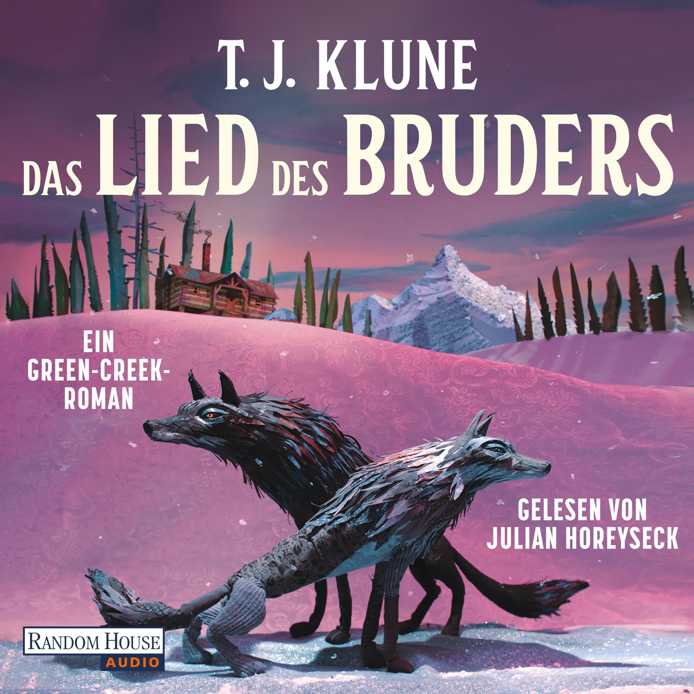 Cover art for Das Lied des Bruders