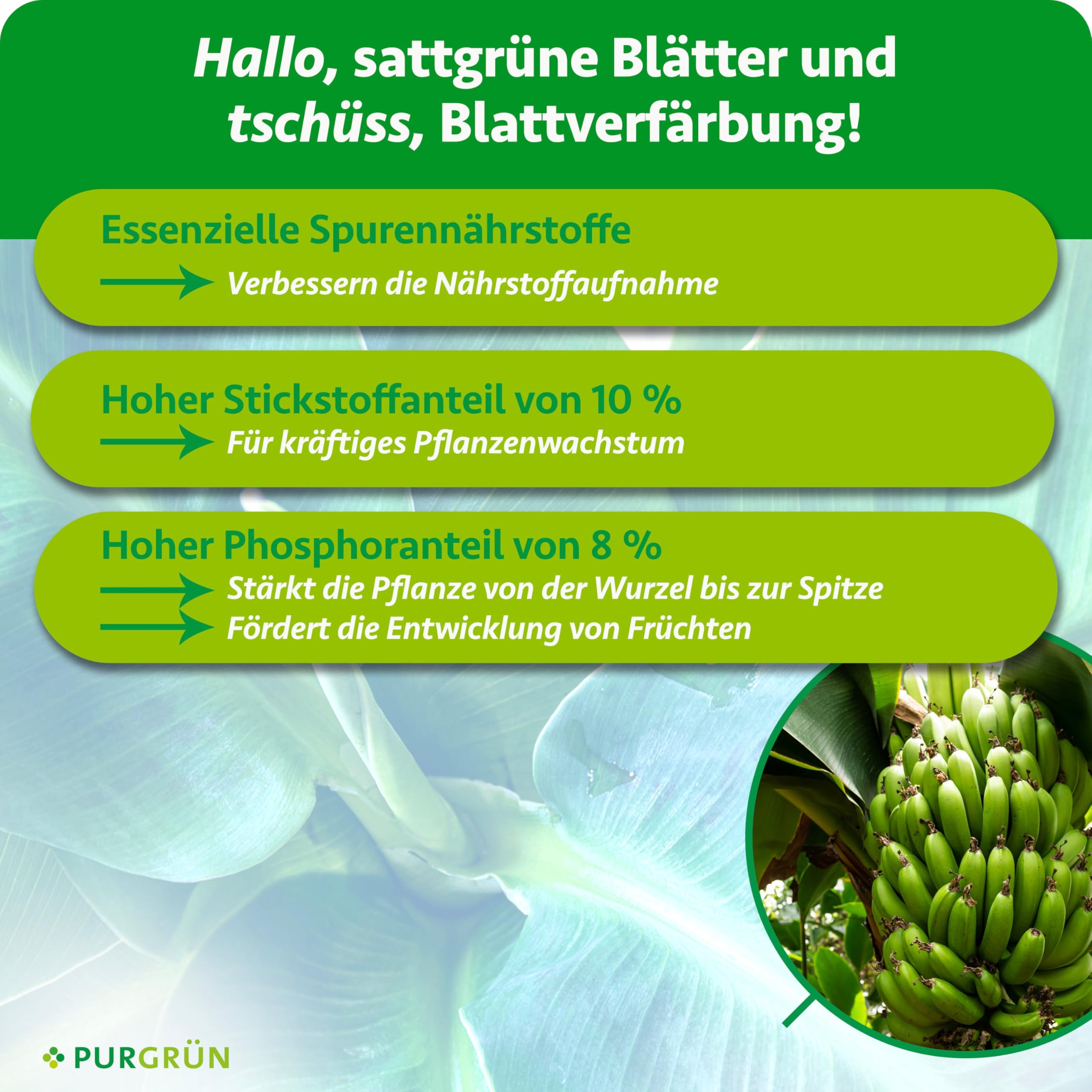 Bananen-Dünger 1 Liter – Extra Stickstoff für schnelles Wachstum – Spurennährstoffe für intensive Blattfärbung – Ergiebiges Konzentrat für bis zu 400 Liter Gießwasser – Profi-Flüssigdünger