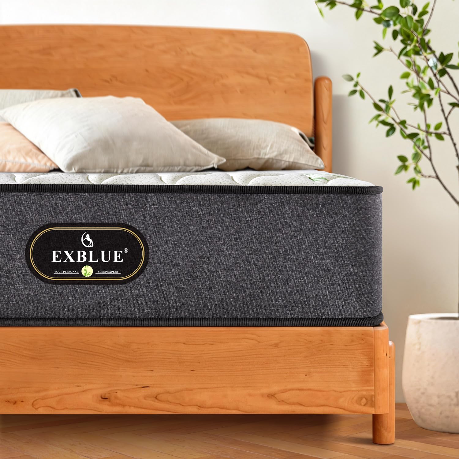 Amazon.co.jp: EXBLUE マットレス セミダブル 極厚22cm 独立ポケット