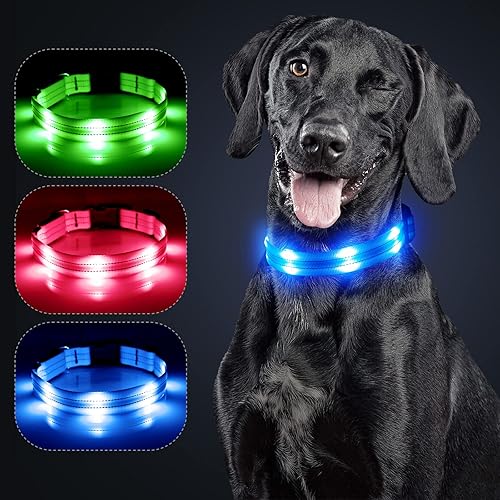 Weesiber Collares de perro iluminados  Collar de perro LED recargable collar ajustable para perros pequeños luces brillantes para perros para