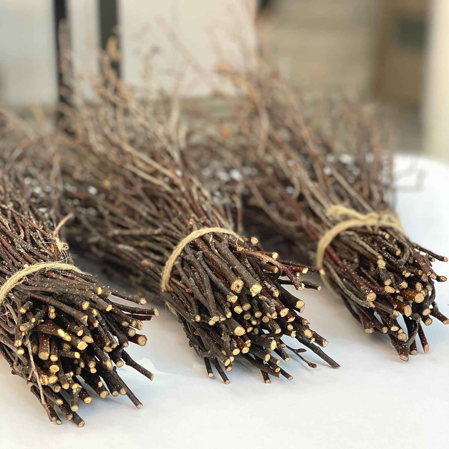ECOVENIK - 100 psc - Decorative Branches for Vases, Centerpieces & DIY Crafts – Sticks for Decorating ( Brown)