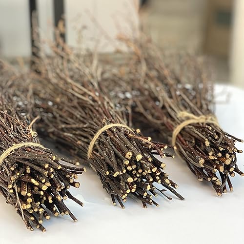 Vista 14 de ECOVENIK 25 piezas – Ramas – 28.7 in, ramitas de abedul natural, paquete de 20-25 tallos, largo para jarrones de suelo, (color marrón natural)