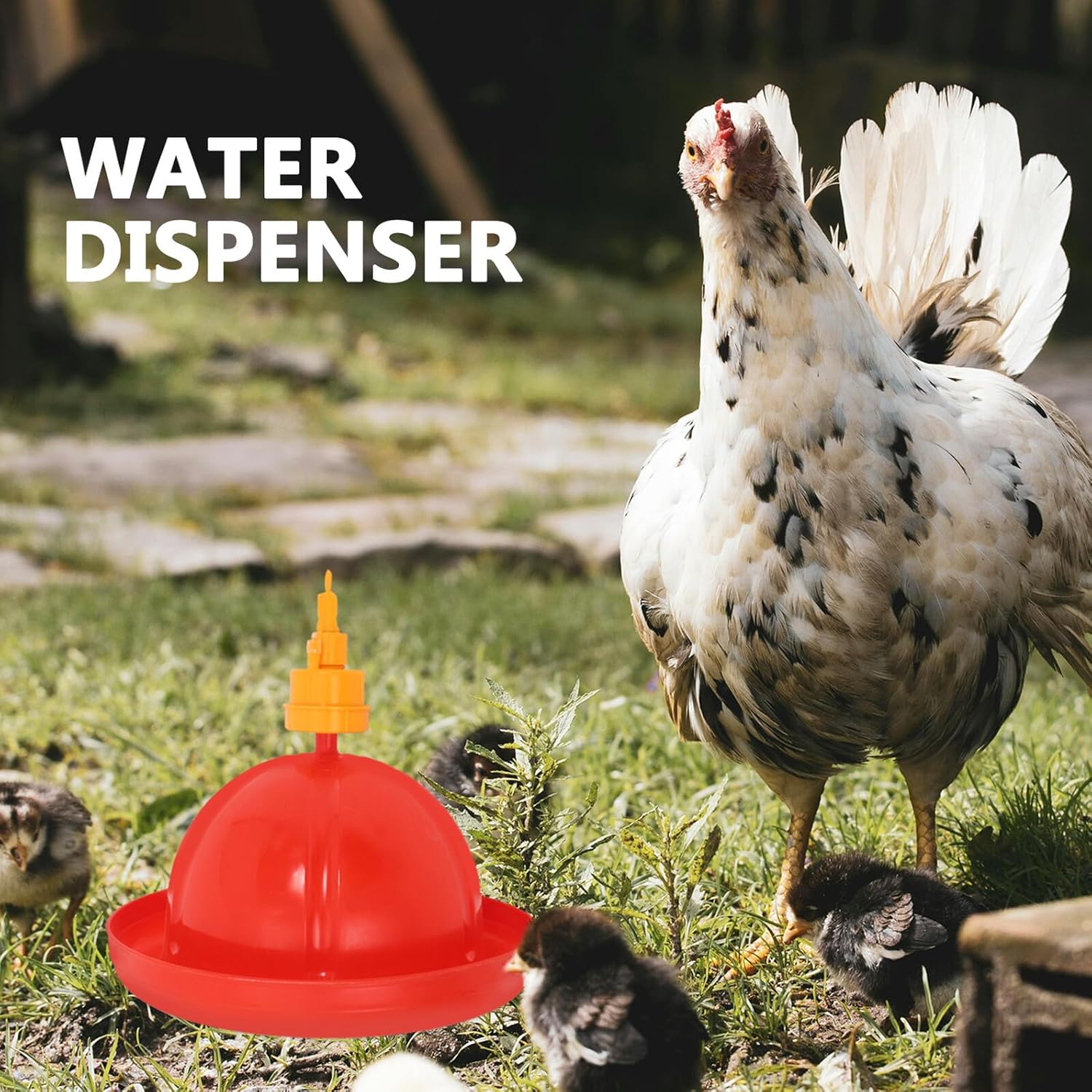 Automatic Chicken and Duck Waterer Set with Accessories, Poultry Feeder and Water Dispenser for Chicks and Ducks, Split Design Poultry Drinking System for Farm Use