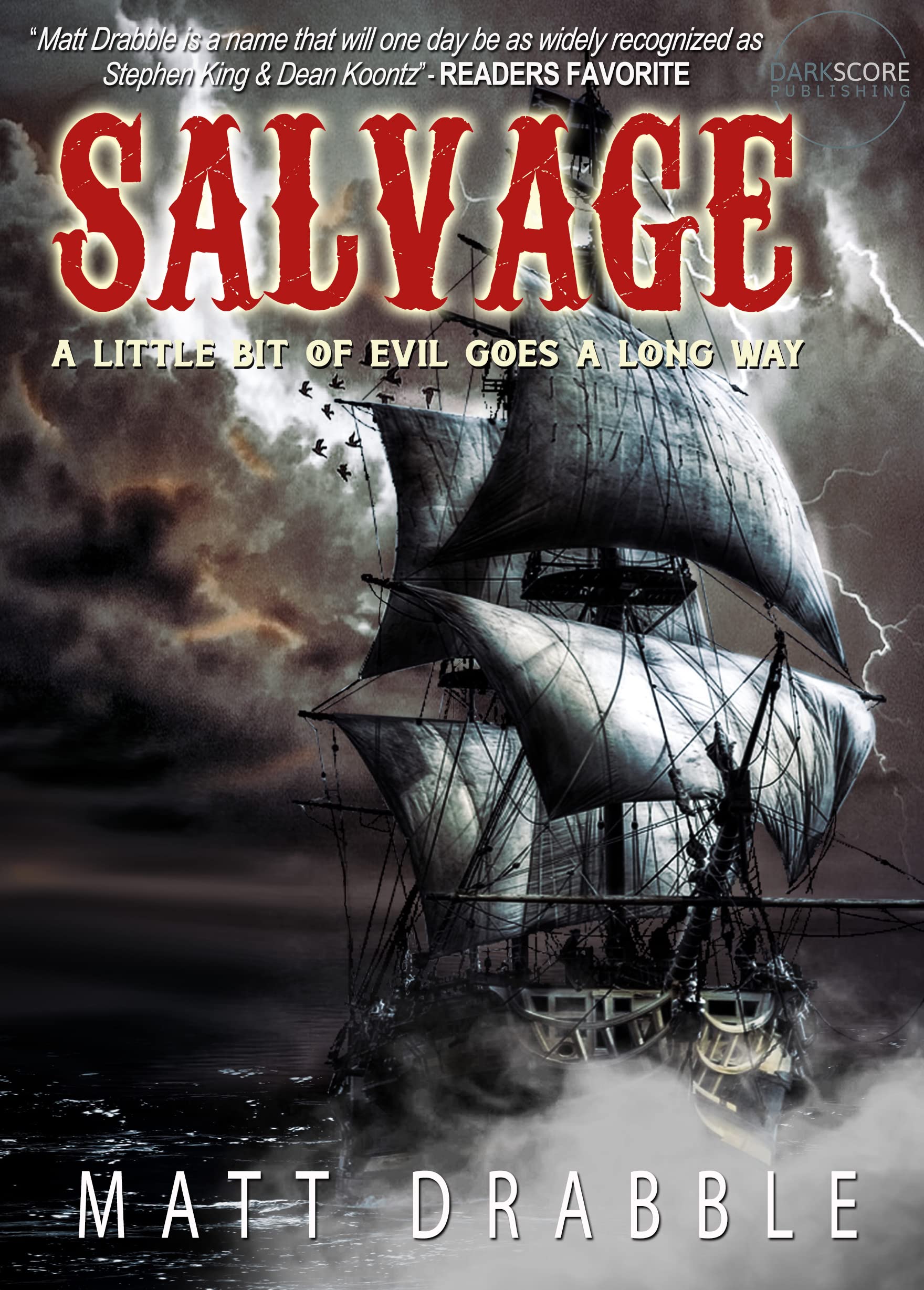 Cover of Salvage
