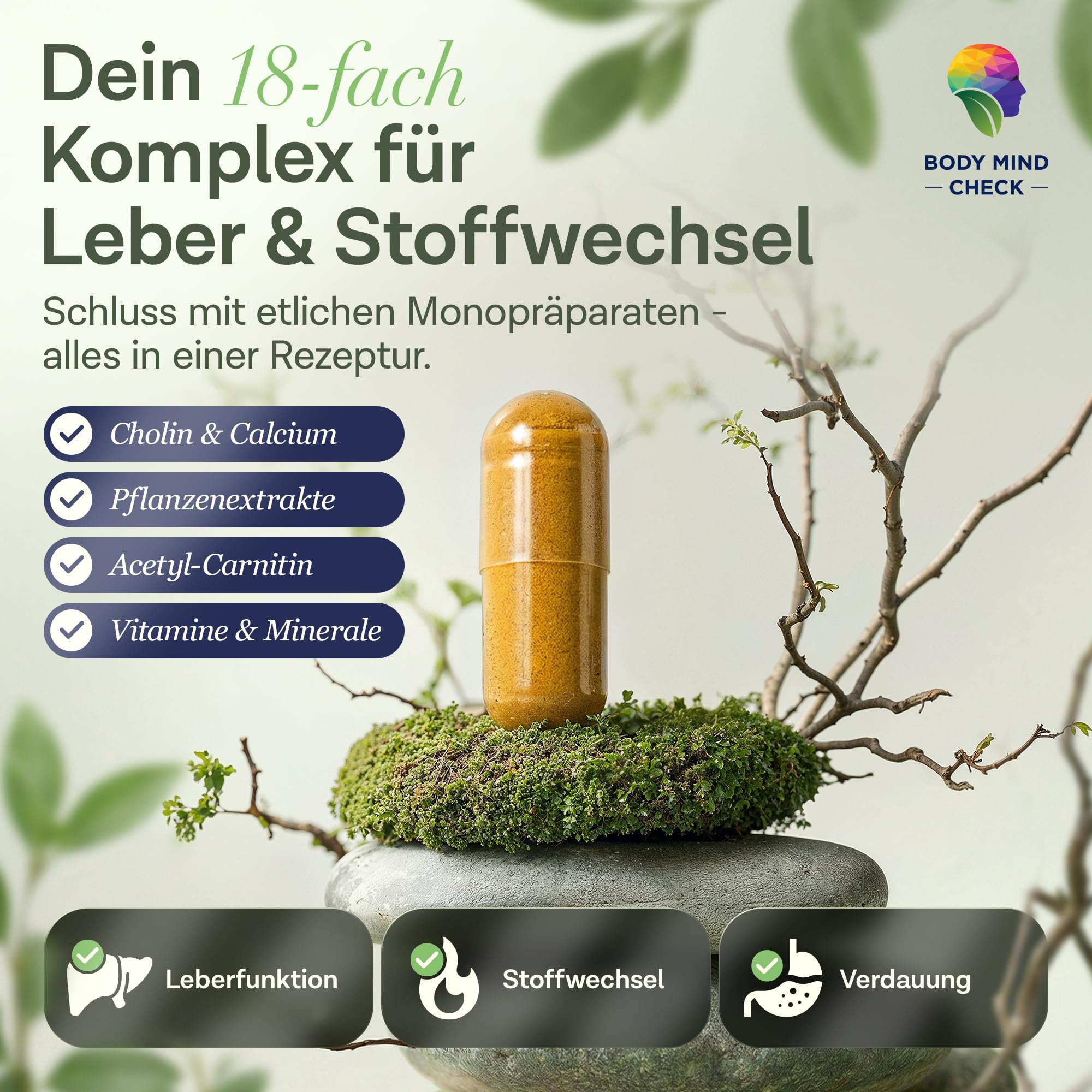INNENREINIGUNG - Leber Kur Mariendistel Kapseln mit Stoffwechsel Komplex - 18-fach Leberkur mit Mariendistel, Cholin, Resveratrol, Grüntee Extrakt uvm. - 150 Leber Komplex Kapseln hochdosiert