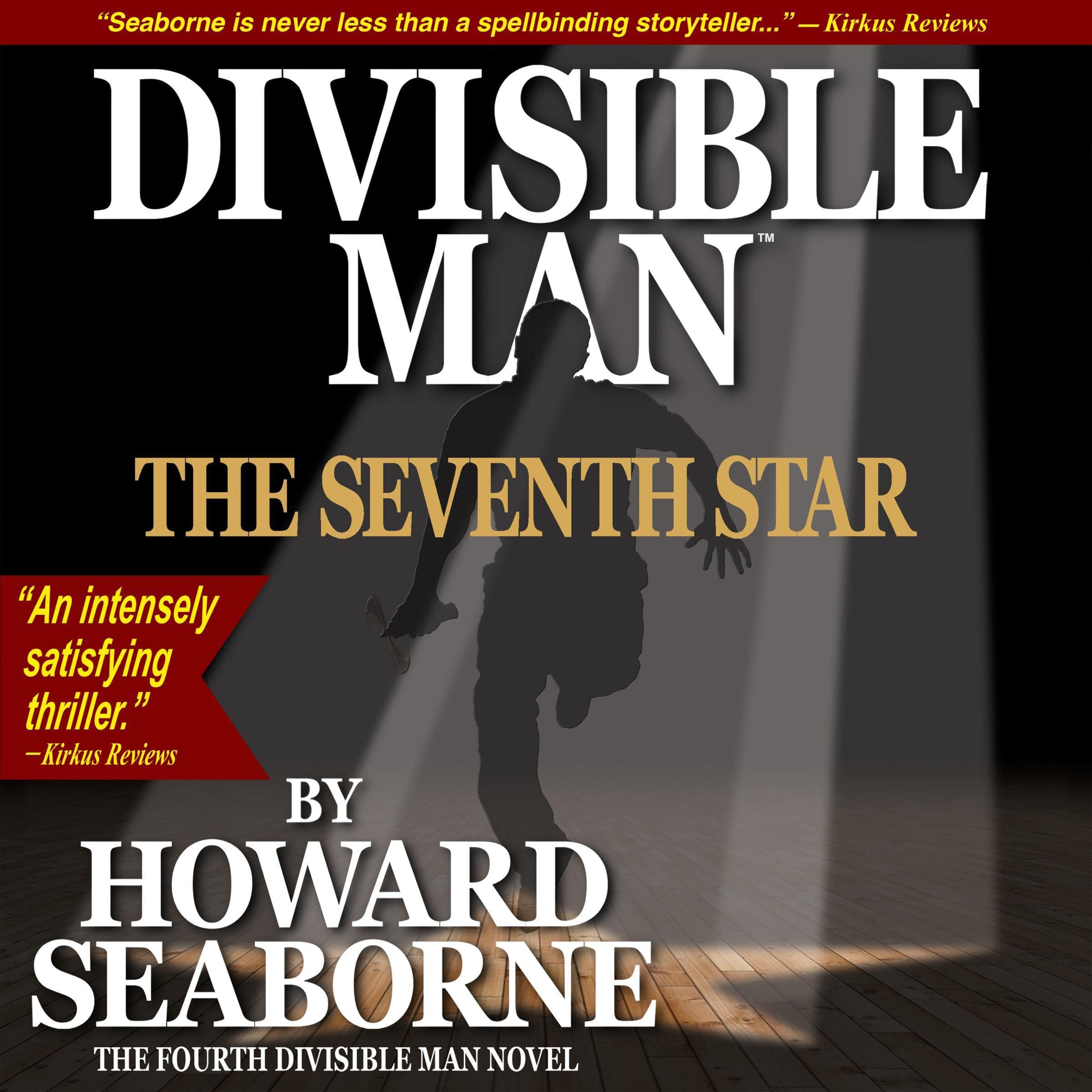 Cover art for Divisible Man: The Seventh Star