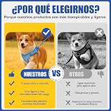Ver la foto 4