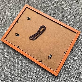 Amazon.co.jp: BOW。池田和弘 Scale Model CobraB5サイズ 額入り