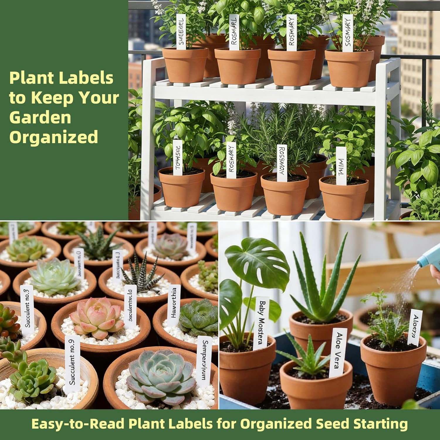Plant Labels 250 PCS, Slim White Garden Plant Tags with Holes, PP Plastic Waterproof Labels with Permanent Marker, Jute Twine & Storage Box for Indoor & Outdoor Gardening (250PCS) - Image 7