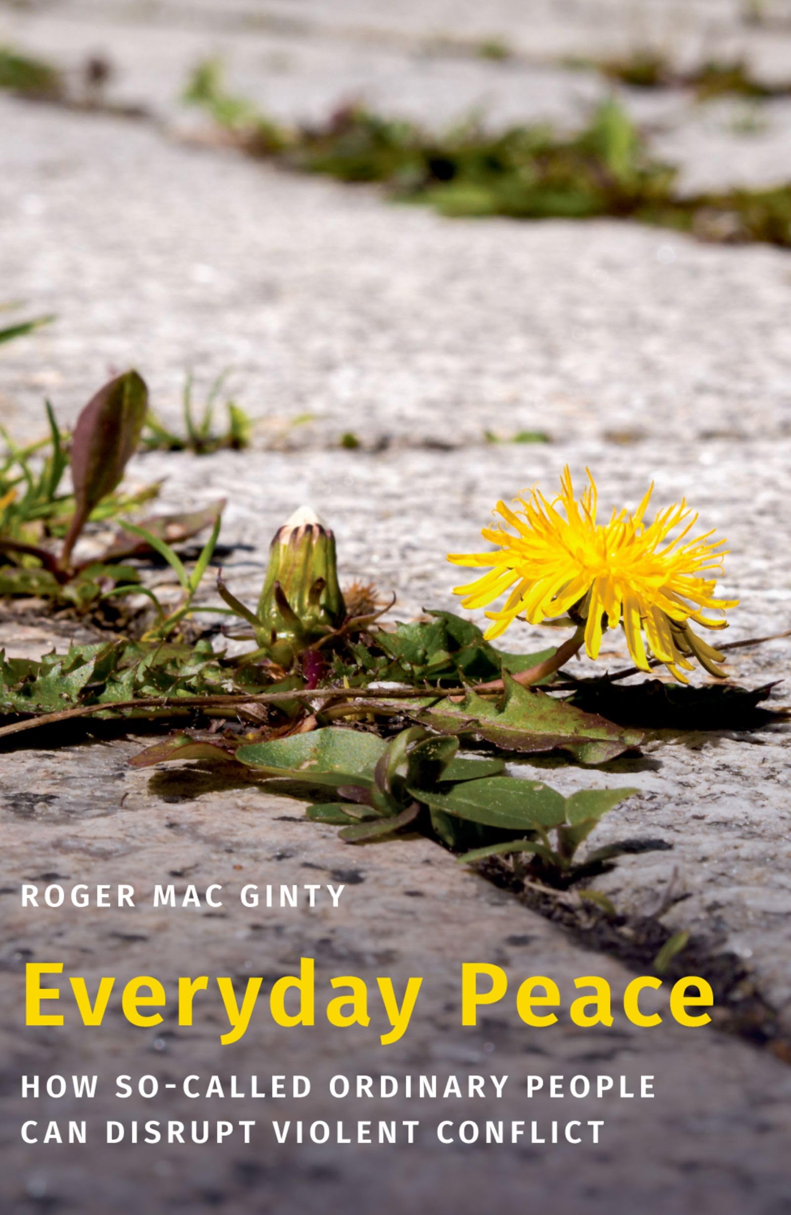 Everyday Peace: How So-called Ordinary People Can Disrupt Violent Conflict (Studies in Strategic Peacebuilding)