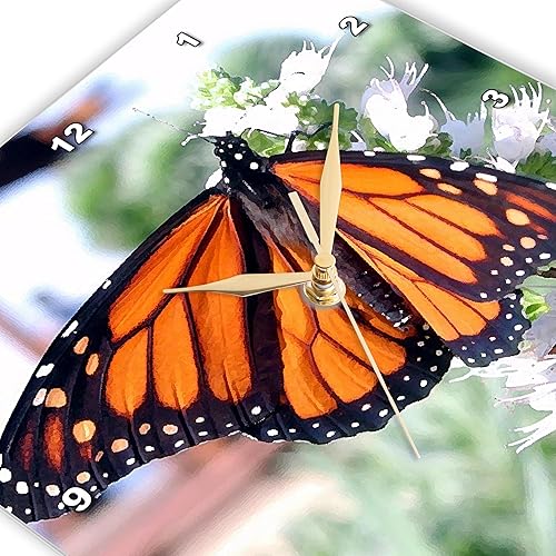 Miniatura 2 de Reloj de pared 3dRose Monarch Mariposa 100 x 100in