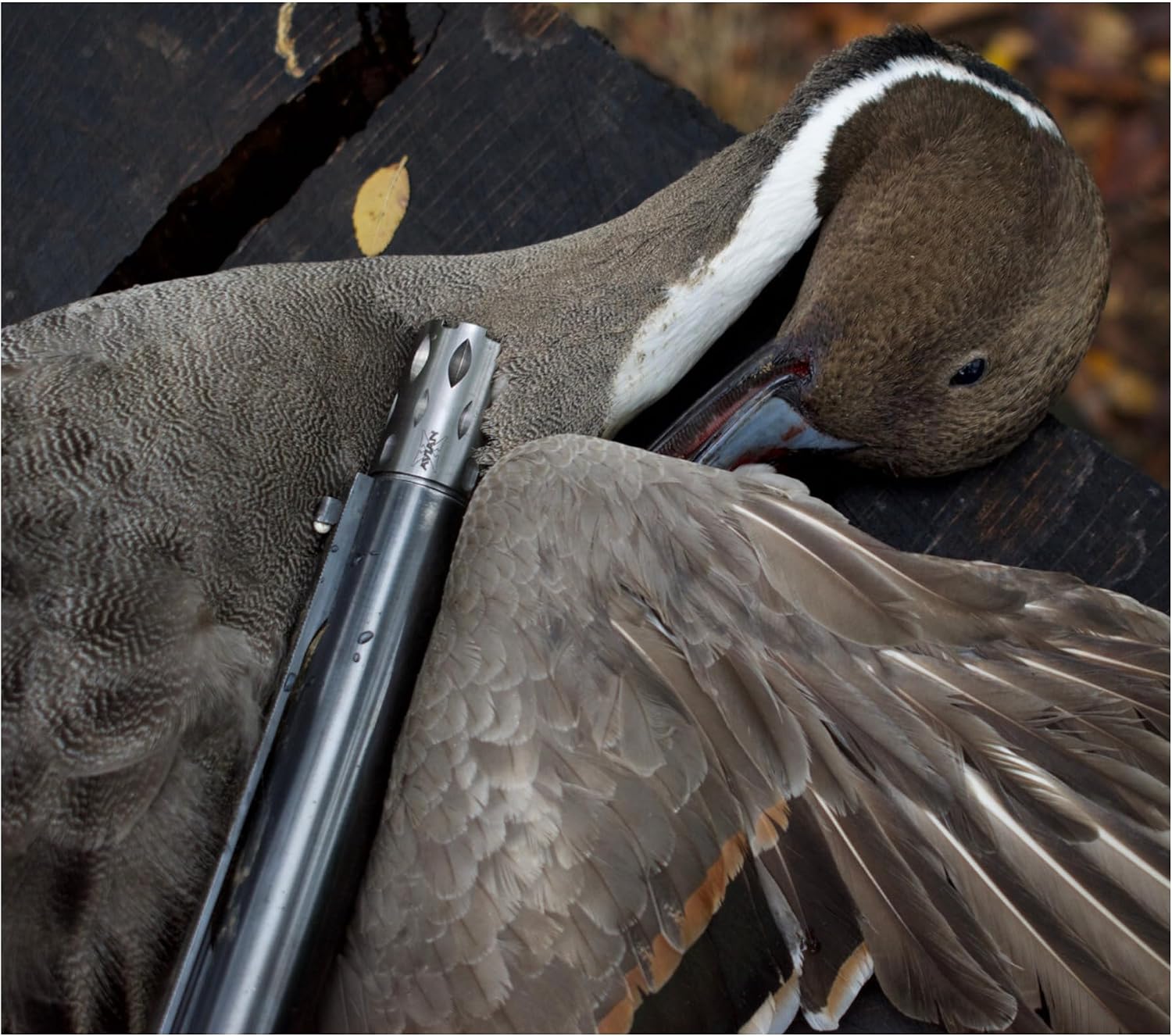 Avian-X 12 Guage Waterfowl Crusher Chokes Tubes with Wide Groove Technology