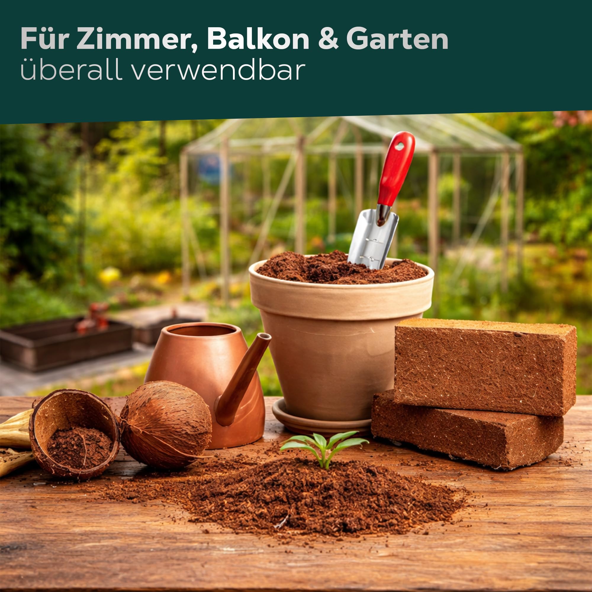 zimmerpflanzen kindersicher Deko- Topfpflanze aus Filz versch. Designs