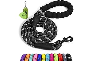 Taglory 6 FT Rope Dog Leash with Padded Handle and Reflective Threads,...