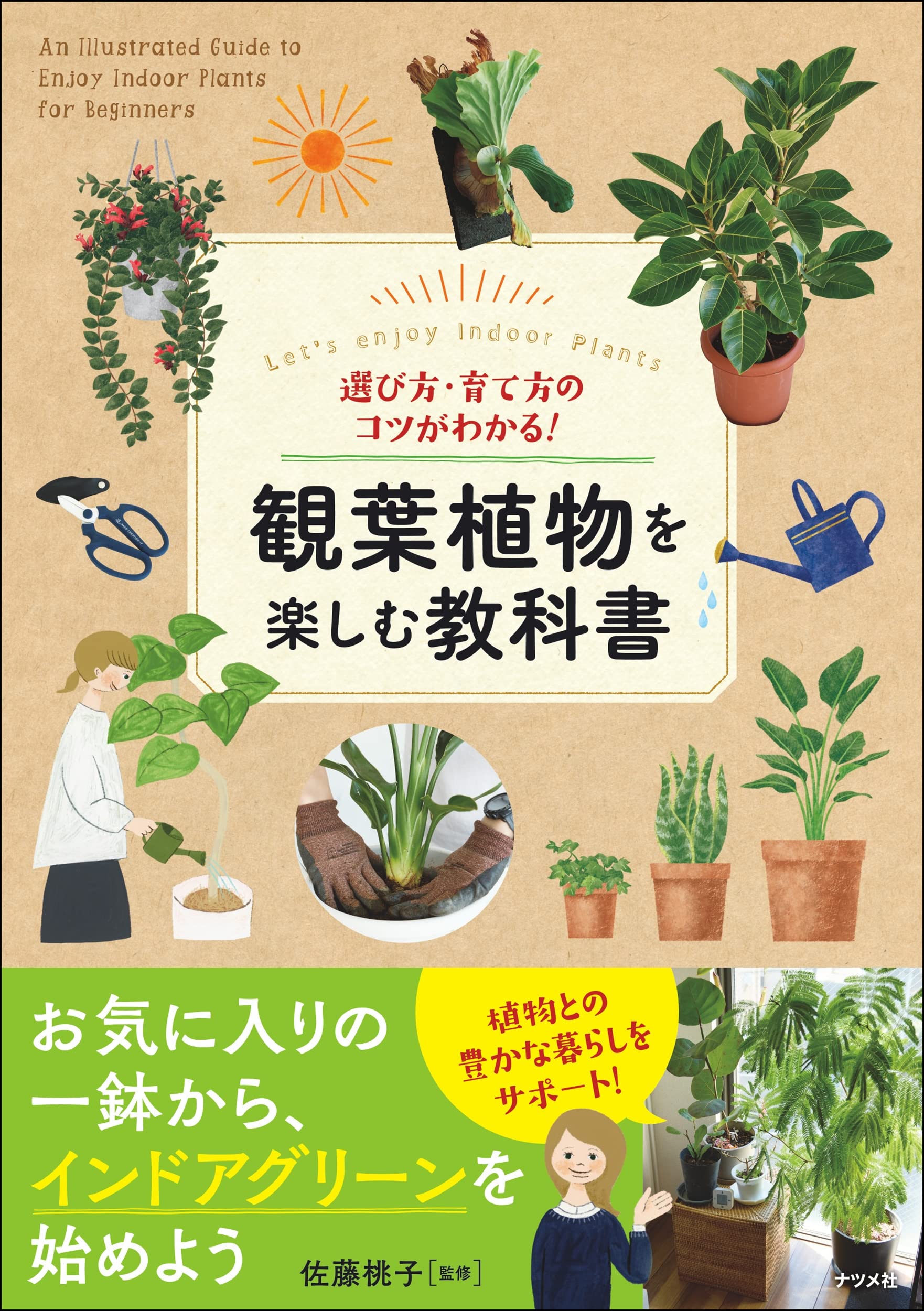 選び方・育て方のコツがわかる!観葉植物を楽しむ教科書 | 佐藤 桃子