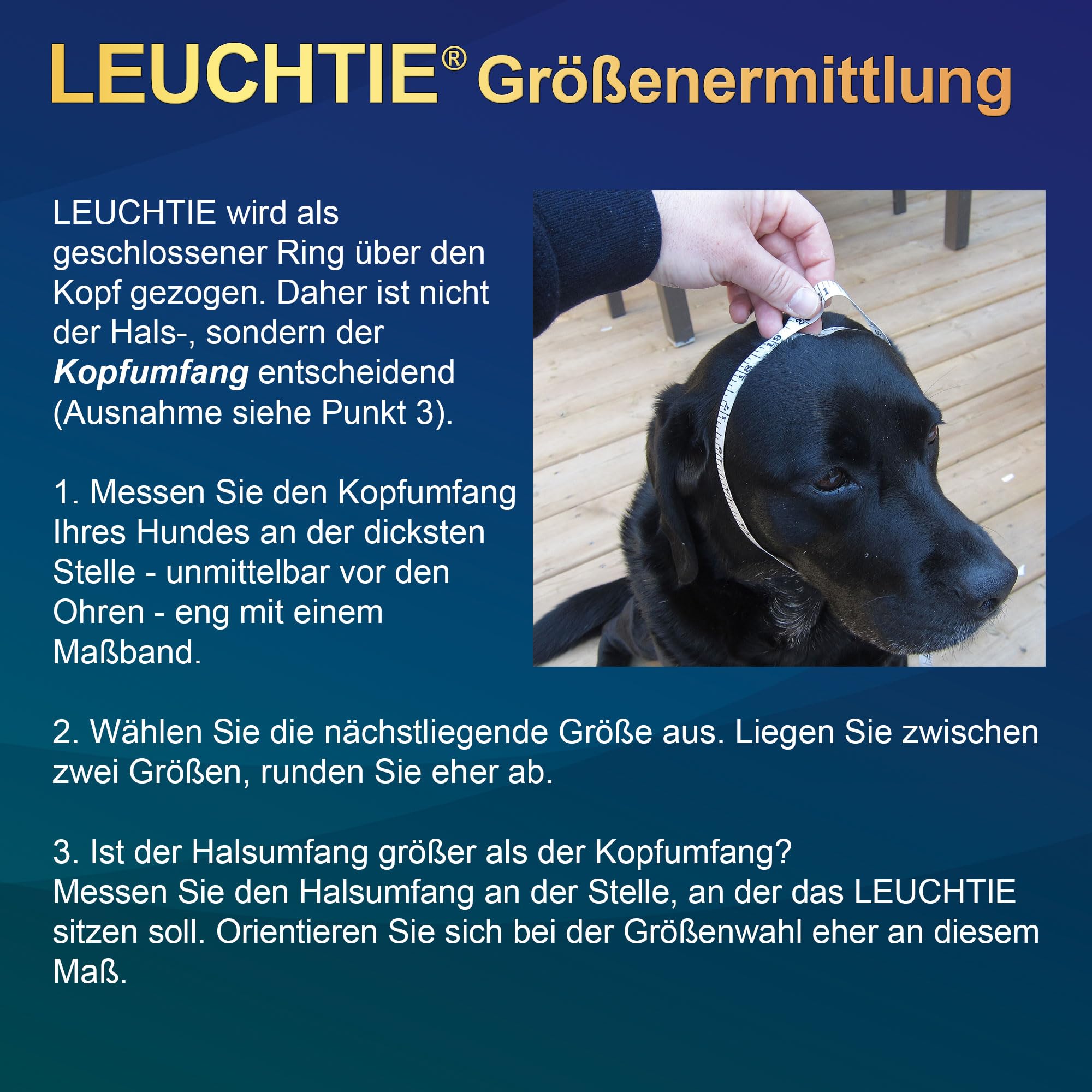 LEUCHTIE® Easy Charge Leuchthalsband Hund aufladbar, wasserdichtes LED Halsband, Leuchtband für Hunde 25 h Leuchtdauer, extrem hell, Blush Größe 40