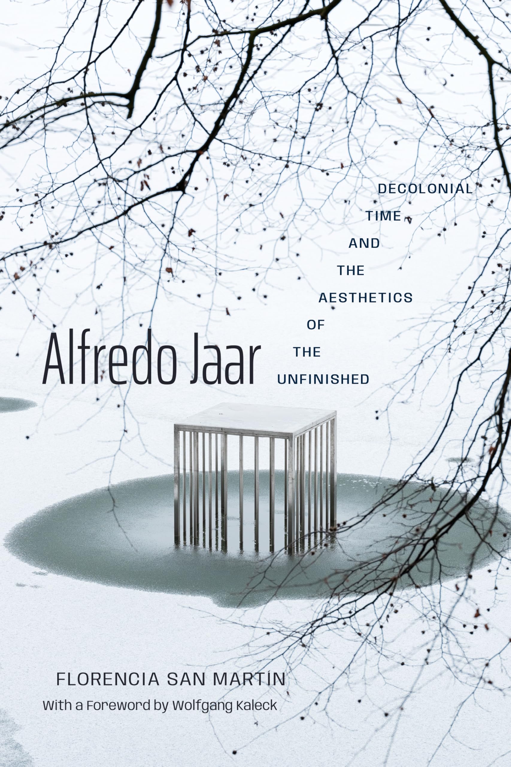 Alfredo Jaar by Florencia San Martn, Wolfgang Kaleck - 9781478038788