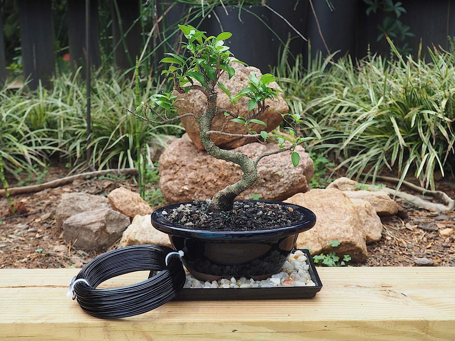 Black-5.0-Anodized Aluminum Bonsai Training Wire 250g Large Roll,Many Size to Choose,KSVZS Bendable Metal Wire for Crafts,Sculpting,Armature and Daily Use,Necessities for Family